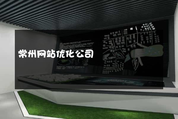 常州网站优化公司