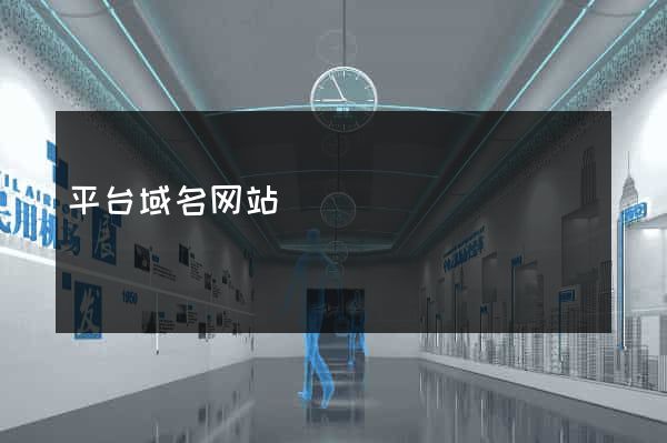 平台域名网站