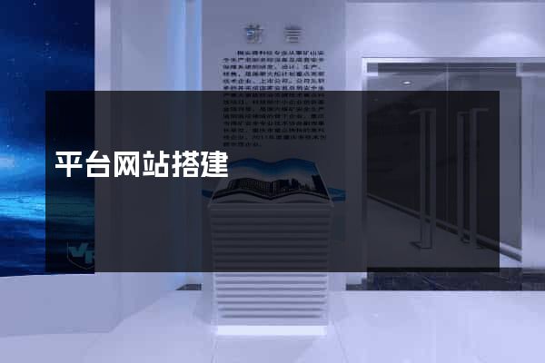平台网站搭建