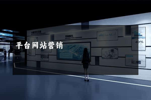 平台网站营销