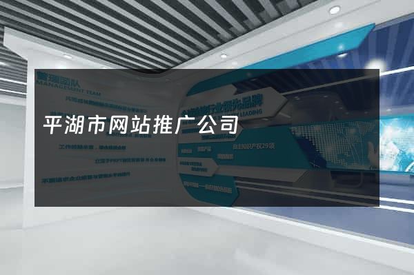 平湖市网站推广公司