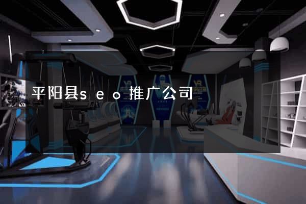 平阳县seo推广公司