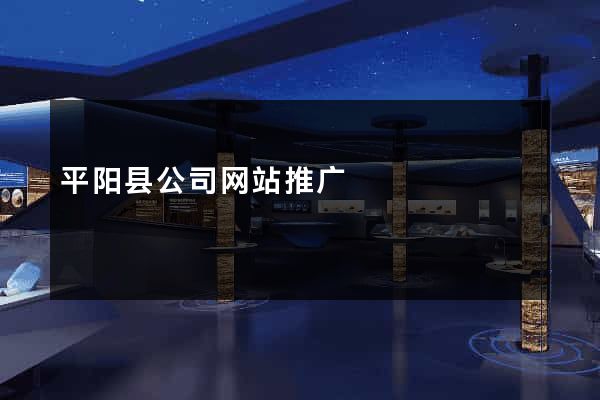 平阳县公司网站推广