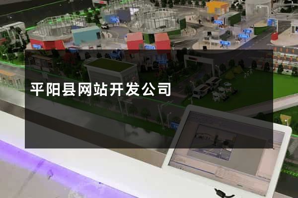 平阳县网站开发公司