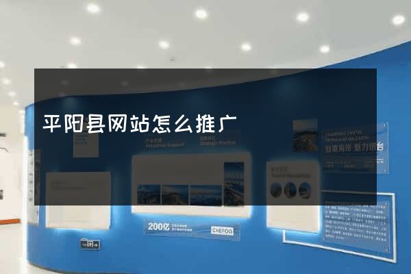 平阳县网站怎么推广