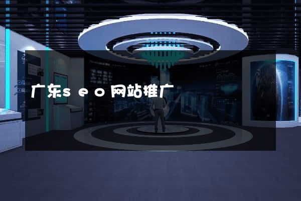 广东seo网站推广