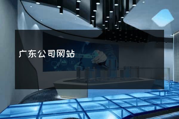 广东公司网站