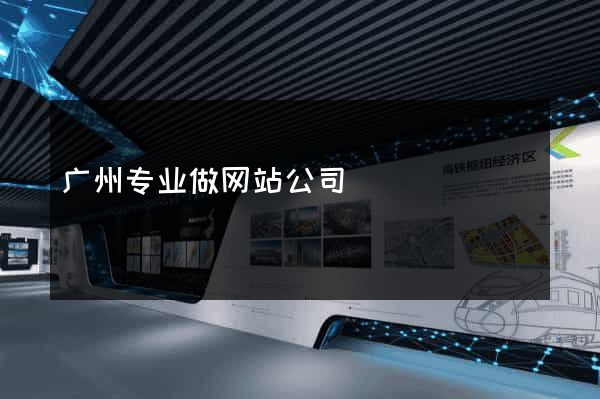 广州专业做网站公司