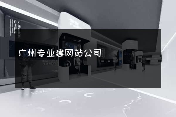 广州专业建网站公司