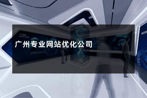 广州专业网站优化公司