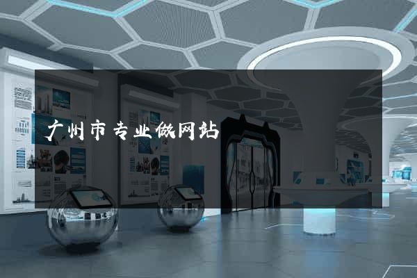 广州市专业做网站