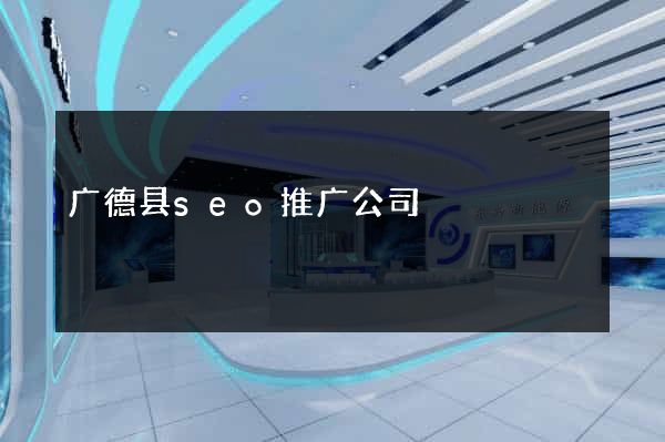 广德县seo推广公司