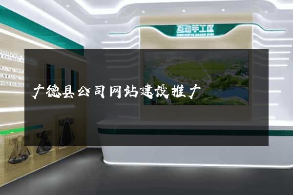 广德县公司网站建设推广