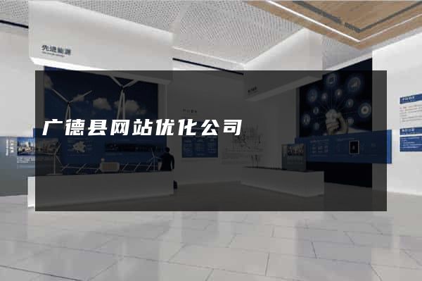 广德县网站优化公司