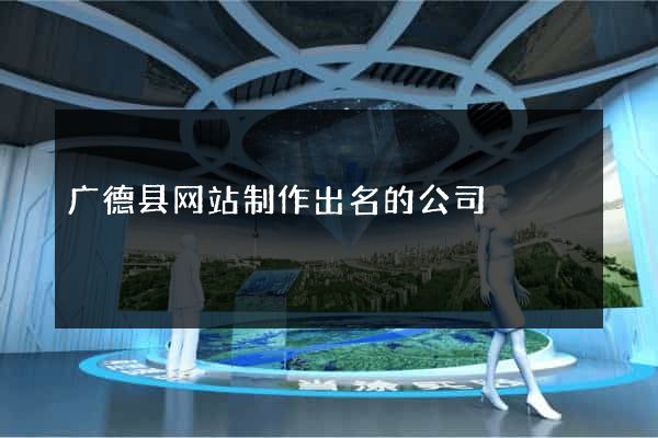 广德县网站制作出名的公司