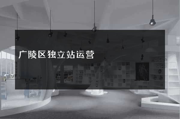 广陵区独立站运营