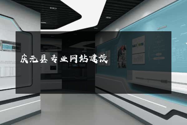 庆元县专业网站建设