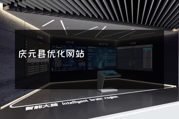 庆元县优化网站