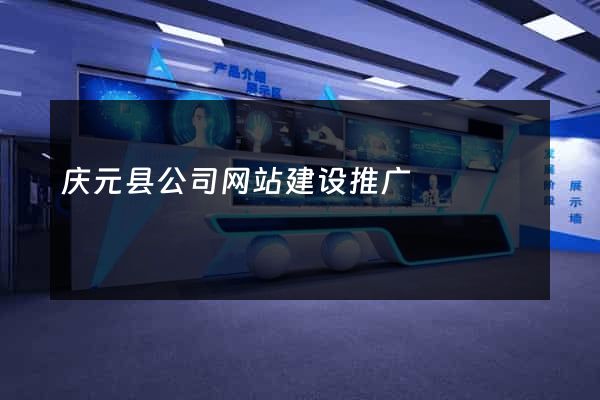 庆元县公司网站建设推广