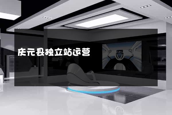 庆元县独立站运营