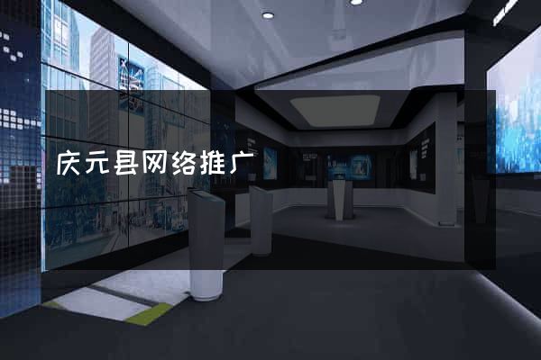 庆元县网络推广
