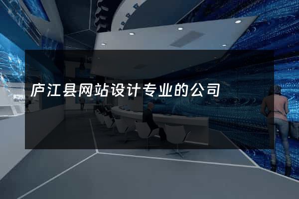 庐江县网站设计专业的公司