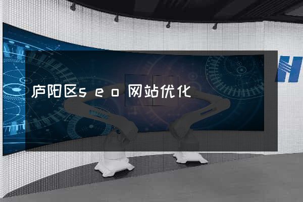 庐阳区seo网站优化