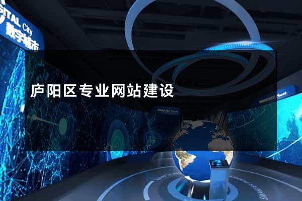庐阳区专业网站建设