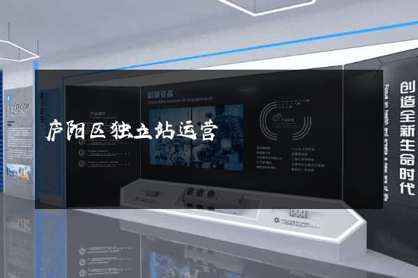 庐阳区独立站运营