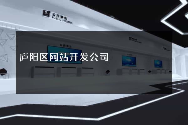 庐阳区网站开发公司