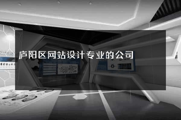 庐阳区网站设计专业的公司