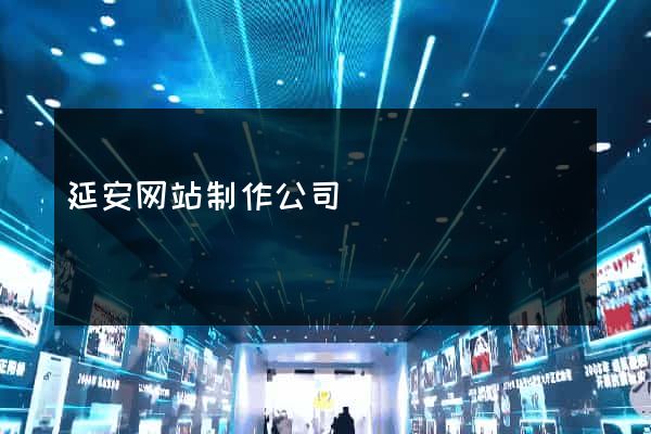 延安网站制作公司