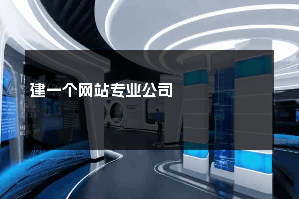 建一个网站专业公司