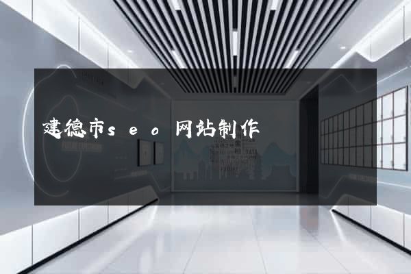 建德市seo网站制作