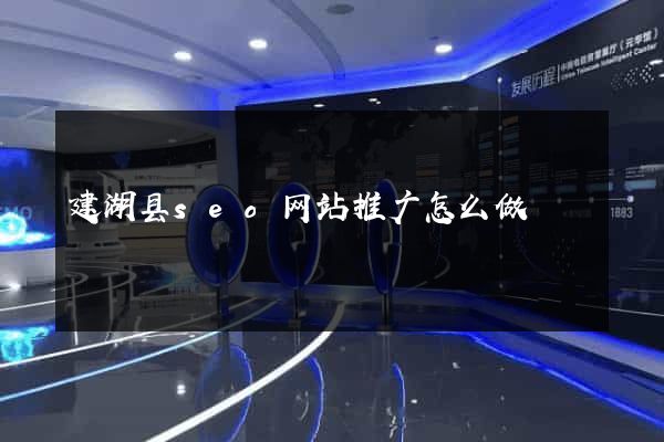 建湖县seo网站推广怎么做