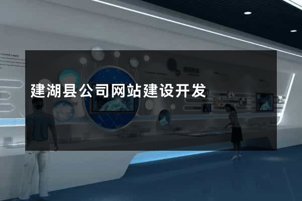 建湖县公司网站建设开发