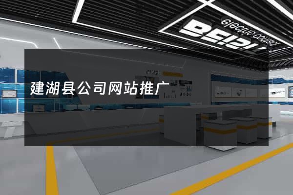 建湖县公司网站推广