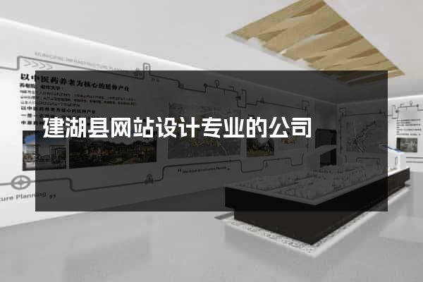 建湖县网站设计专业的公司