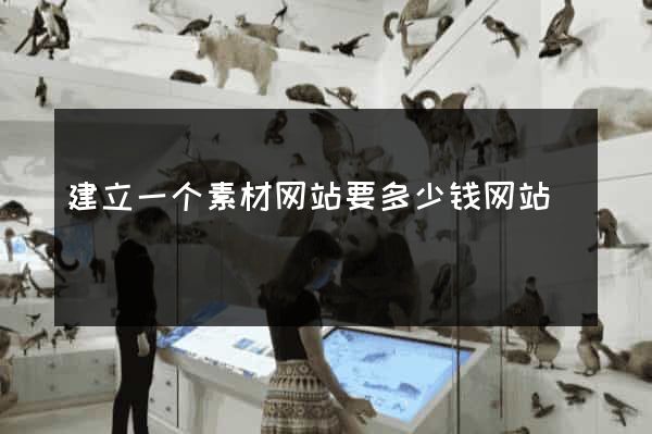 建立一个素材网站要多少钱网站