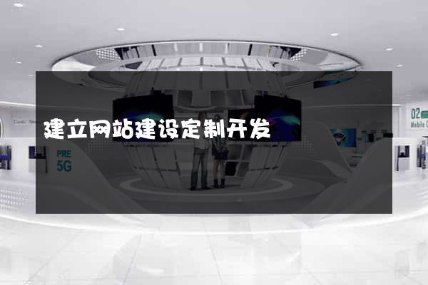 建立网站建设定制开发