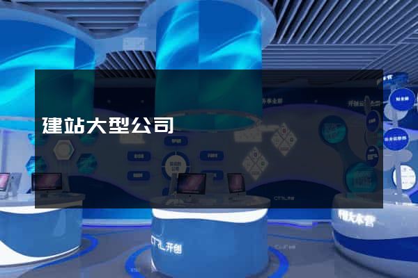 建站大型公司