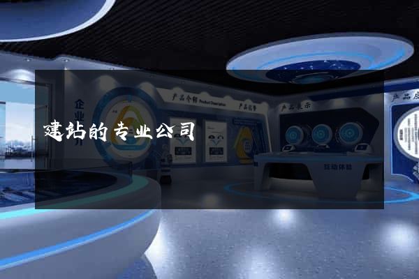 建站的专业公司