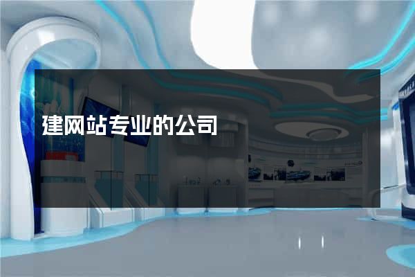 建网站专业的公司
