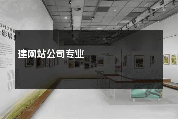 建网站公司专业