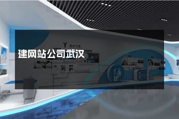 建网站公司武汉