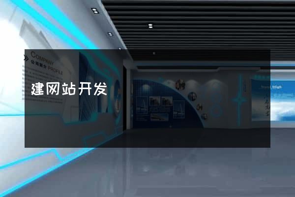 建网站开发