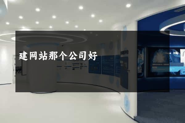 建网站那个公司好