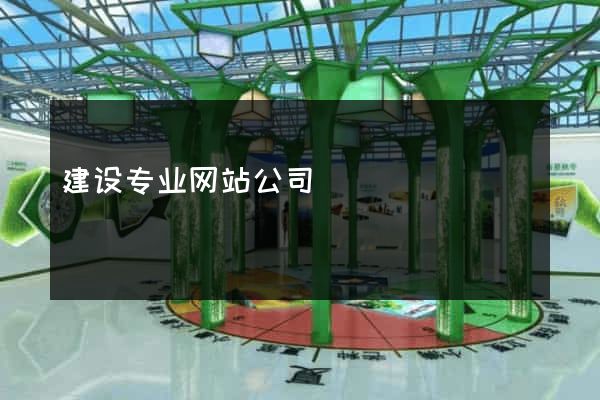 建设专业网站公司