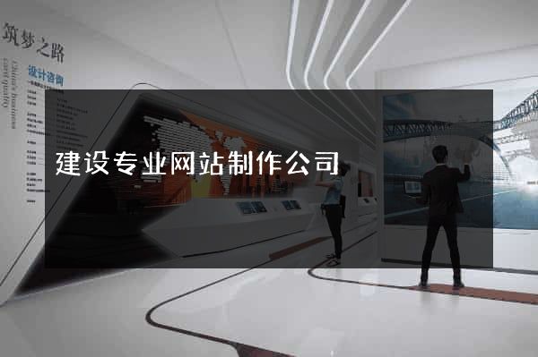 建设专业网站制作公司