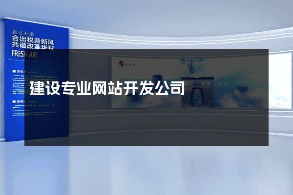 建设专业网站开发公司